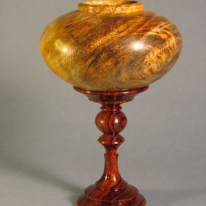 Amboyna burl