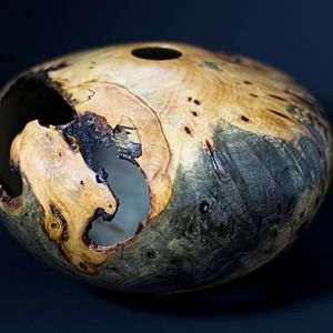 California Buckeye