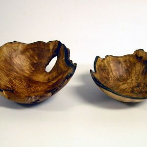 Quaking Aspen Burl Bowls