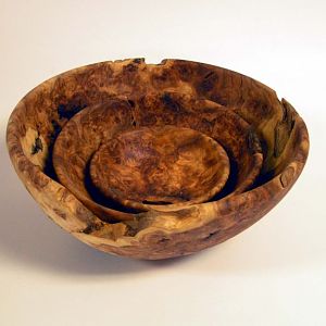 Cottonwood Nested Burl Set