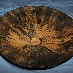 pine dish