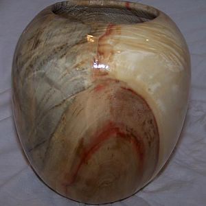 box elder