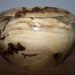 hackberry burl