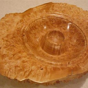 Maple Burl