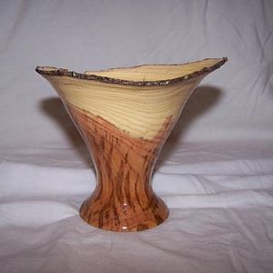 black locust