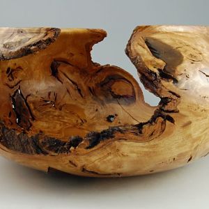 Ash Root Ball Bowl