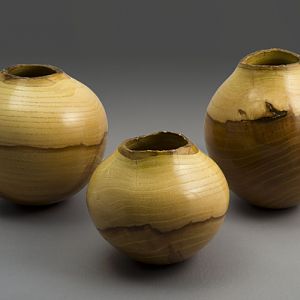 Chinese Elm HF Set