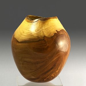 Chinese Elm Hollow Form