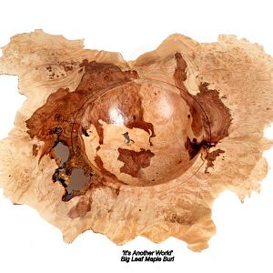 Big Leaf Maple Burl  'Another World'