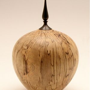 Spalted Birch HF