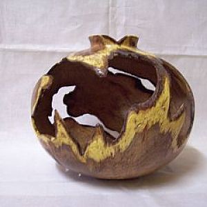 Mesquite Mistletoe Burl         8 x81/2 x 3/16ths wall