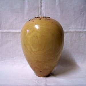 Cedar Elm hollow form               9 x 6 x 18th wall