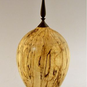 Spalted Birch HF