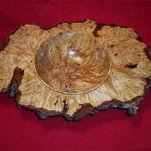 Birch Burl bowl