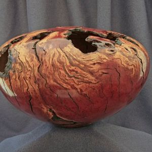 Manzanita Burl Hollow Form