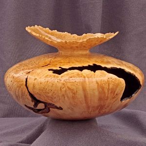 Oregon Maple Burl Hollow Form