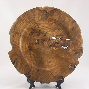 Elm Platter