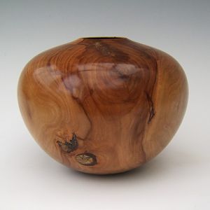 Apple hollow form