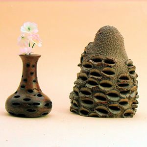 banksia nut vase