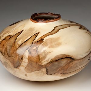 Ambrosia Maple NE Hollow Form