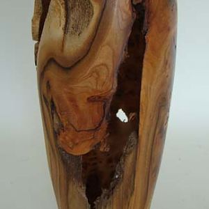 Burr Witch Elm Vase.