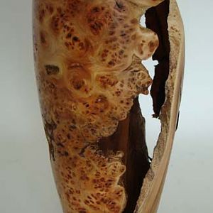 Burr Witch Elm Vase.