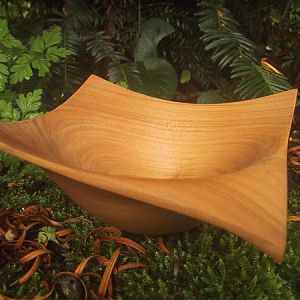 Manta Bowl