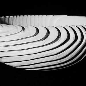 Wellingtonia Textured and Dyed Bowl