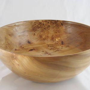 Elm Burl 14 x 4 1/2 High