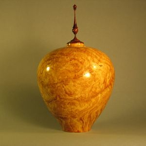 Spalted Copper Beech H/F