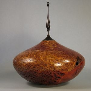 Jarrah Burl H/F