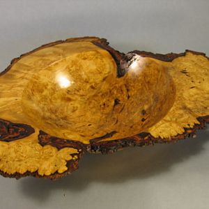 Maple Burl  N/E Bowl