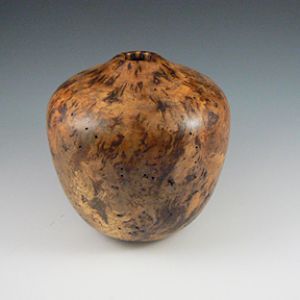 Silver Maple Burl