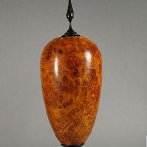 Amboyna Burl H/F