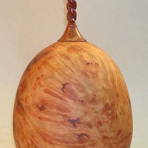 Red River Gum Burl