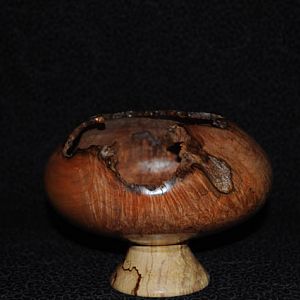 Maple Burl Bowl