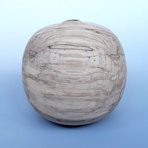 spalted beech form