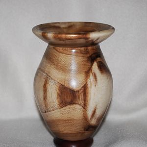 Mimosa and Walnut Vase