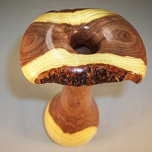 Mesquite Vase top