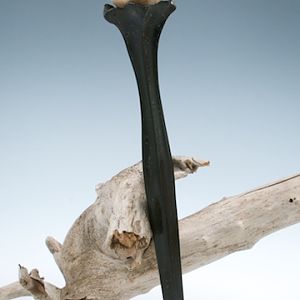 Hair stick from Gabon ebony and curly maple