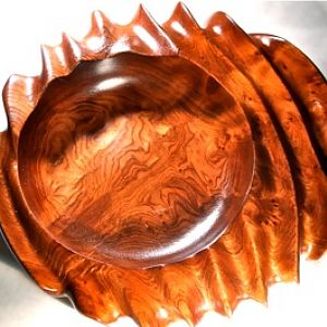 Redwood wave