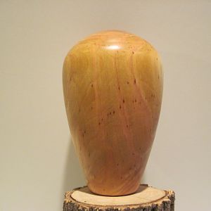 Birch Hollow Form