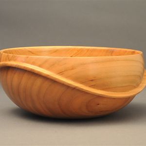 Protruding Wave Bowl