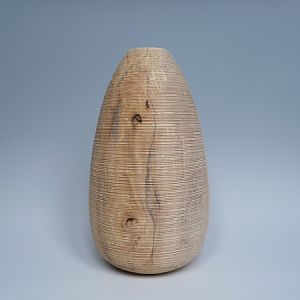 textured beech form