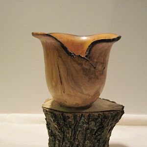 Spalted Maple Bowl