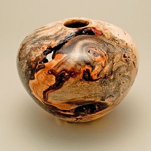 Buckeye Burl