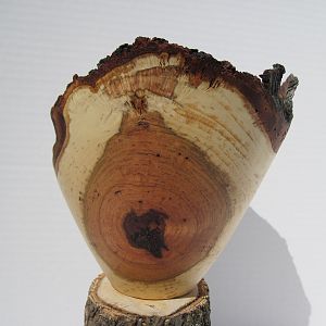 Cherry Crotch wood Ne Bowl