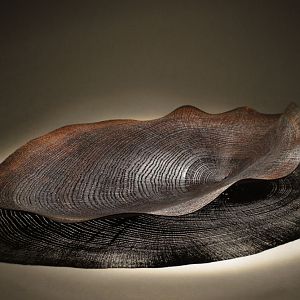 Black dendrochronology