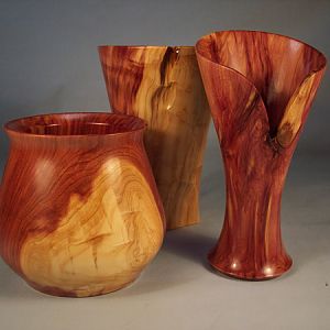 Cedar Bunch