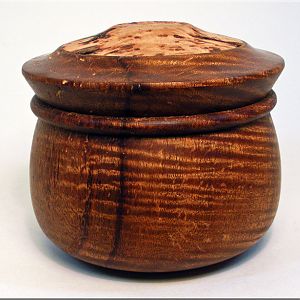 CURLY Koa/Hop Hornbeam BURL Box